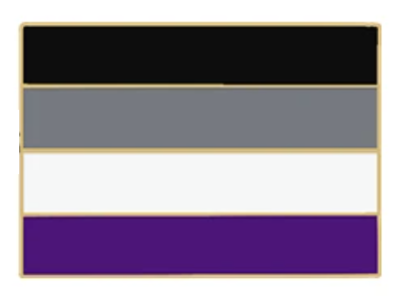 Pin, przypinka flaga aseksualna PRIDE LGBT