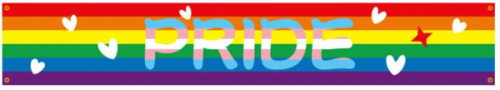 Duża, flaga, baner PRIDE LGBT 300 * 50 cm
