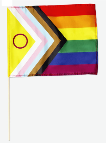 Ekologiczna chorągiewka, progresywna flaga PRIDE LGBT 18x29,5 cm