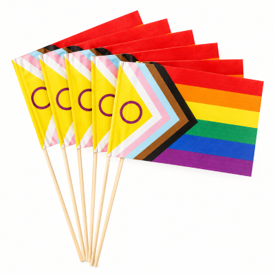 6 szt ekologiczna chorągiewka, progresywna, inkluzywna flaga PRIDE LGBT 18x29,5 cm