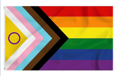 Duża, progresywna, inkluzywna flaga PRIDE 90x150 cm