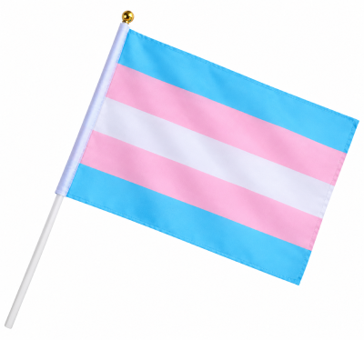 Chorągiewka transpłciowa PRIDE
