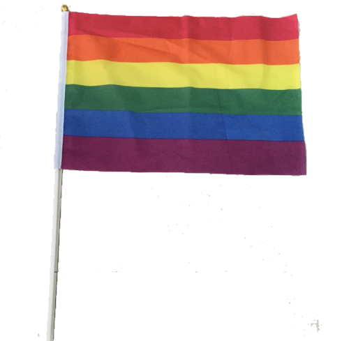 Zestaw 10 szt. chorągiewek PRIDE LGBT