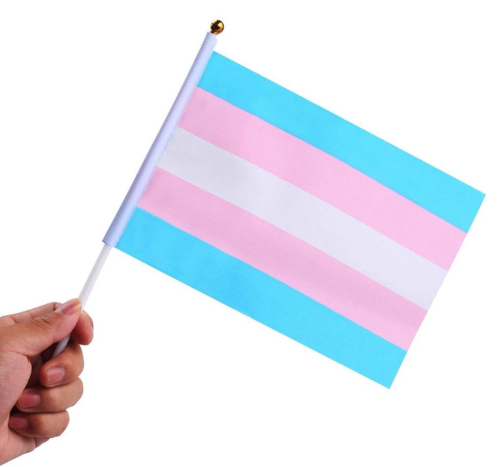 Mała flaga, chorągiewka transpłciowa PRIDE LGBT 14x21 cm