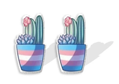 Kolczyki kaktusy transpłciowe PRIDE LGBT
